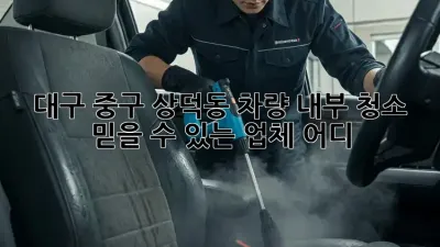대구 중구 상덕동 차량 내부 청소, 믿을 수 있는 업체 어디?