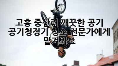 고흥 중산리 깨끗한 공기, 공기청정기 청소 전문가에게 맡겨봐요!